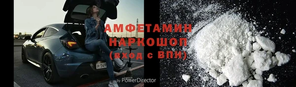 хмурый Аркадак