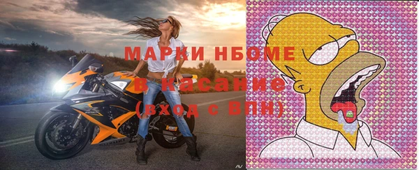 хмурый Аркадак