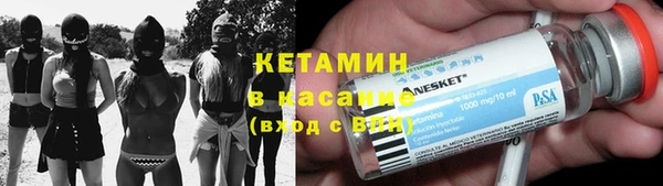 хмурый Аркадак