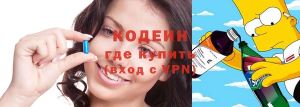 хмурый Аркадак
