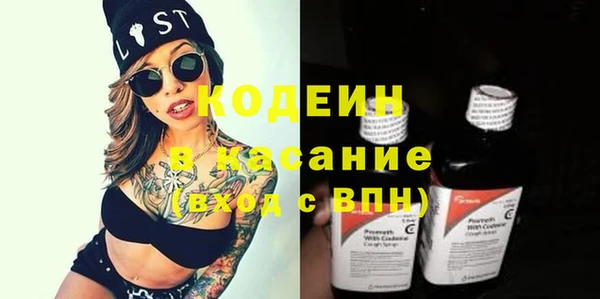 хмурый Аркадак