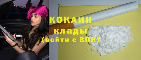 хмурый Аркадак