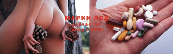 трава Арсеньев