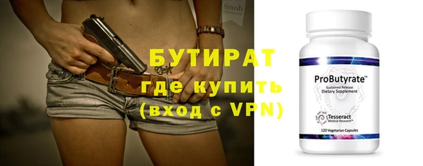 хмурый Аркадак