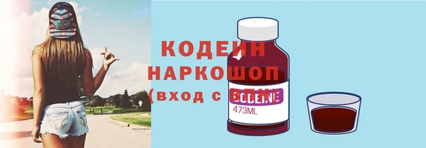 хмурый Аркадак