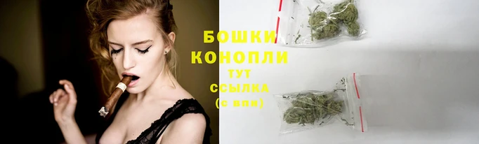трава Арсеньев