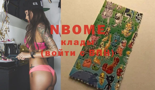 хмурый Аркадак