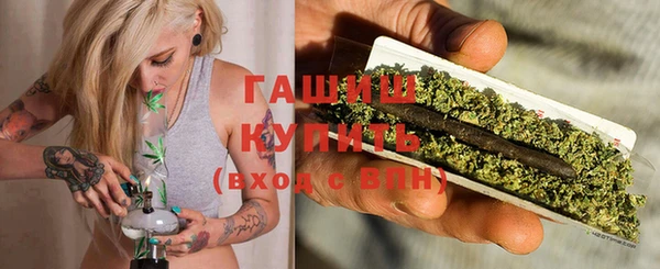 хмурый Аркадак