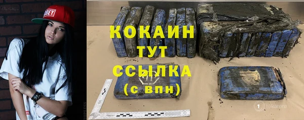 хмурый Аркадак