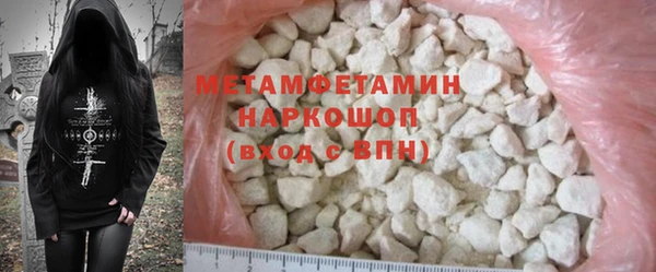 хмурый Аркадак