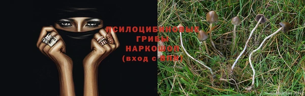 дурь Армянск
